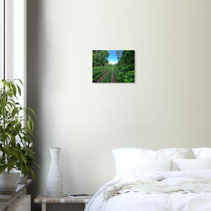 101a46e5-5c6e-40bd-a739-4918efb4bcf7