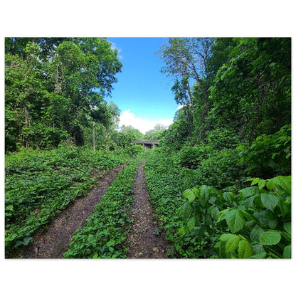 3d303b54-274b-4012-bc18-eee8674b2db5