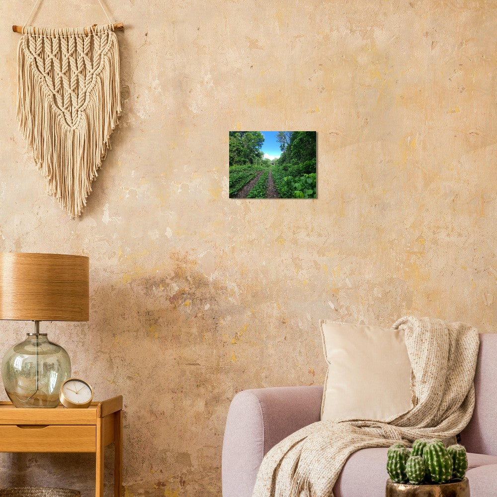 482da4b2-1063-4600-8823-a4fab26d4c29